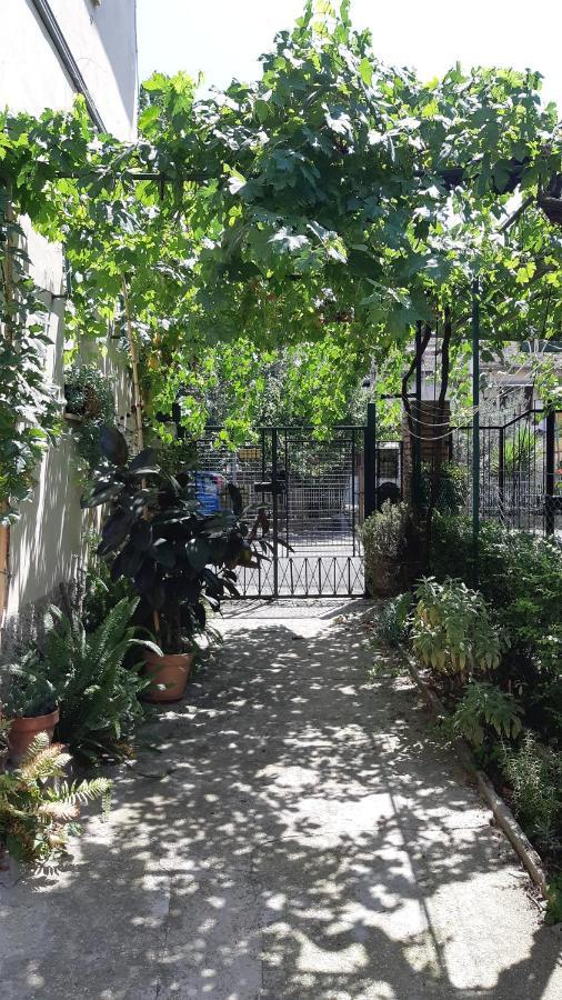 Casa Sofia - Appartamento Con Parcheggio Riservato Terni Exteriör bild